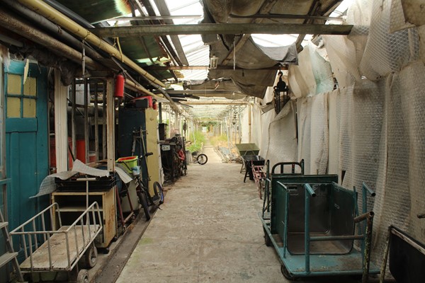 Medium property photo - Achterdiep Noordzijde, 9611 BT Sappemeer